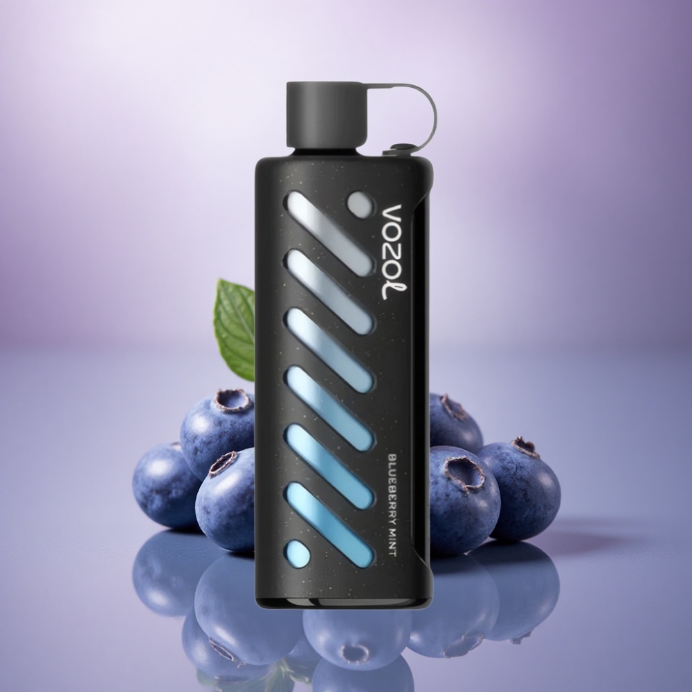 VOZOL Gear Shisha 25000 Puffs Menta Mirtilo com 5mg/ml de Nicotina e 1000mAh