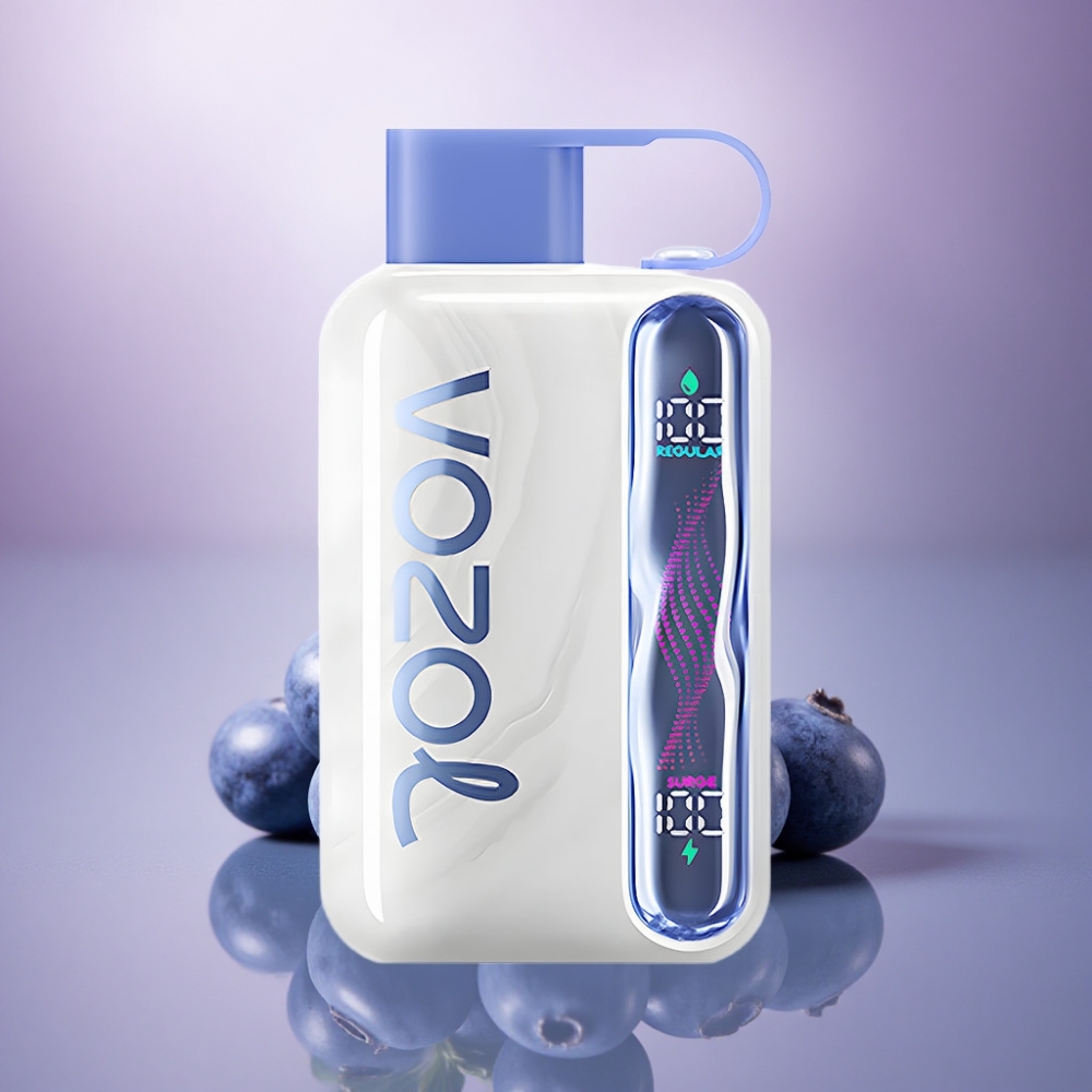 VOZOL STAR 40000 Puffs Menta Mirtilo 1000mAh Nicotina 20/50mg