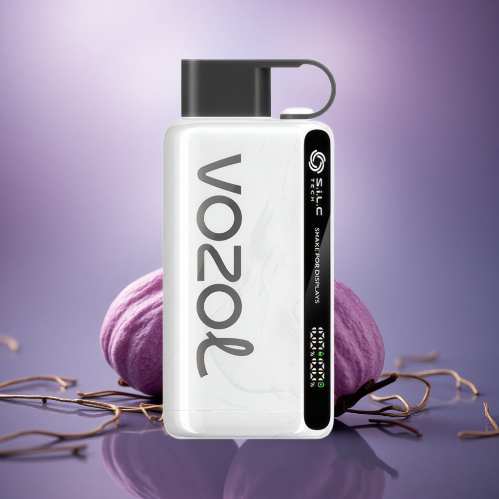 VOZOL STAR 9000/12000 Puffs Cachimbo Descartável Reciclado com 650mAh e Nicotina 0/20/50mg/ml